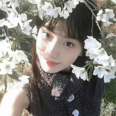 去桃花盛开的地方